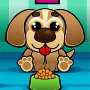 Puppy Learning Quiz Adventure