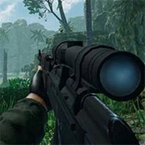 Linh's Aim & Journey Quest