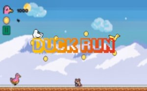 Pixel Duck Coin Chase