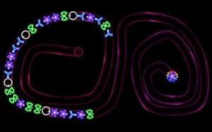Neon Orb Match Puzzle