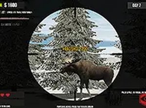 Wildlife Precision Aim Challenge
