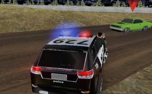 Pursuit Patrol on the Freeway